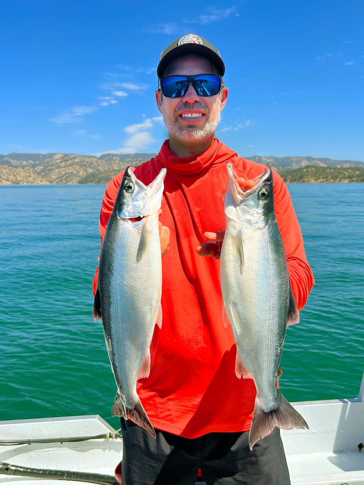 Lake Berryessa Kokanee