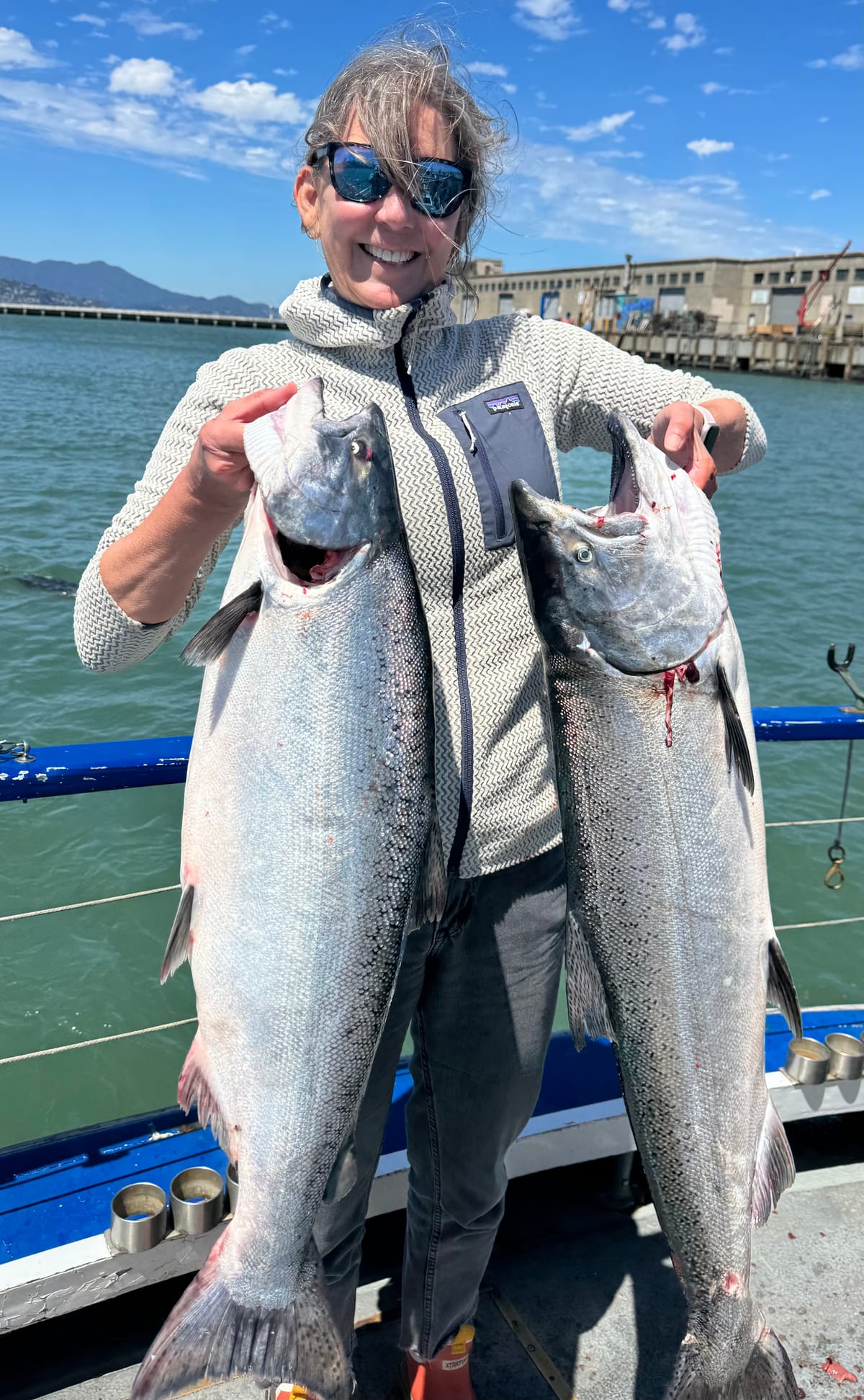 Bodega Bay/Tomales Bay Good King Salmon and Rock Cod fishing