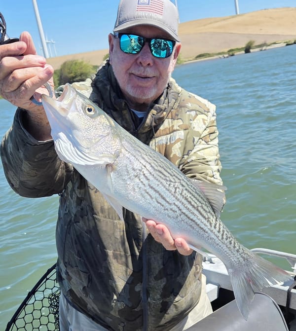 Rio Vista/Delta
