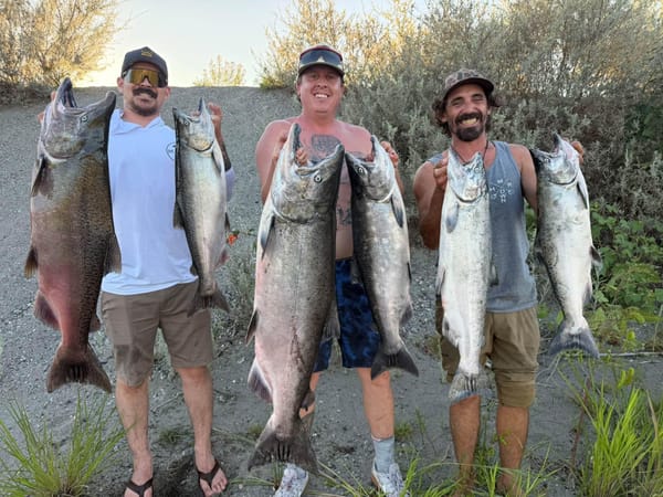 Feather/Sacramento Rivers Anglers Battle Big, Bright Salmon