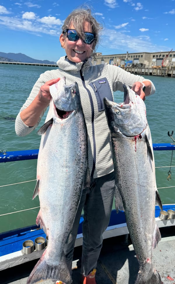 Bodega Bay/Tomales Bay Good King Salmon and Rock Cod fishing