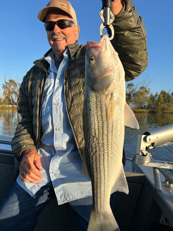 Los Vaqueros Reservoir Stripers Lead Fall Angling Parade